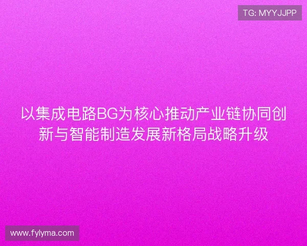 以集成电路BG为核心推动产业链协同创新与智能制造发展新格局战略升级