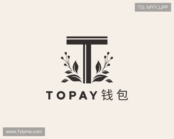 认识TOPAY钱包